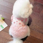 Neue Haustierkleidung Dünner Hund Sommer Katze Hundekleidung Rock Spitze Blumenstücke Atmungsaktive Hautfreundliche Hund Teddy Bart Corgi