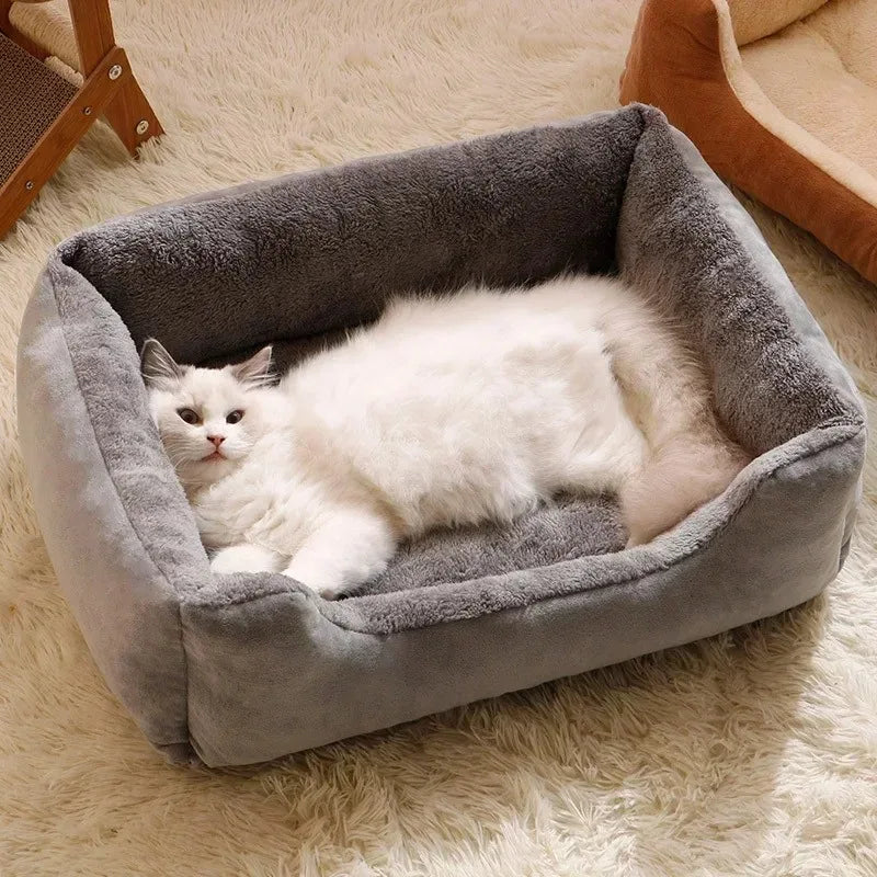 Bett für Katzen Haustierprodukte Kissen Kätzchen Winterzubehör Hund Alle Häuser Zubehör Dinge Accessoire Lebensräume Korb Haus Betten