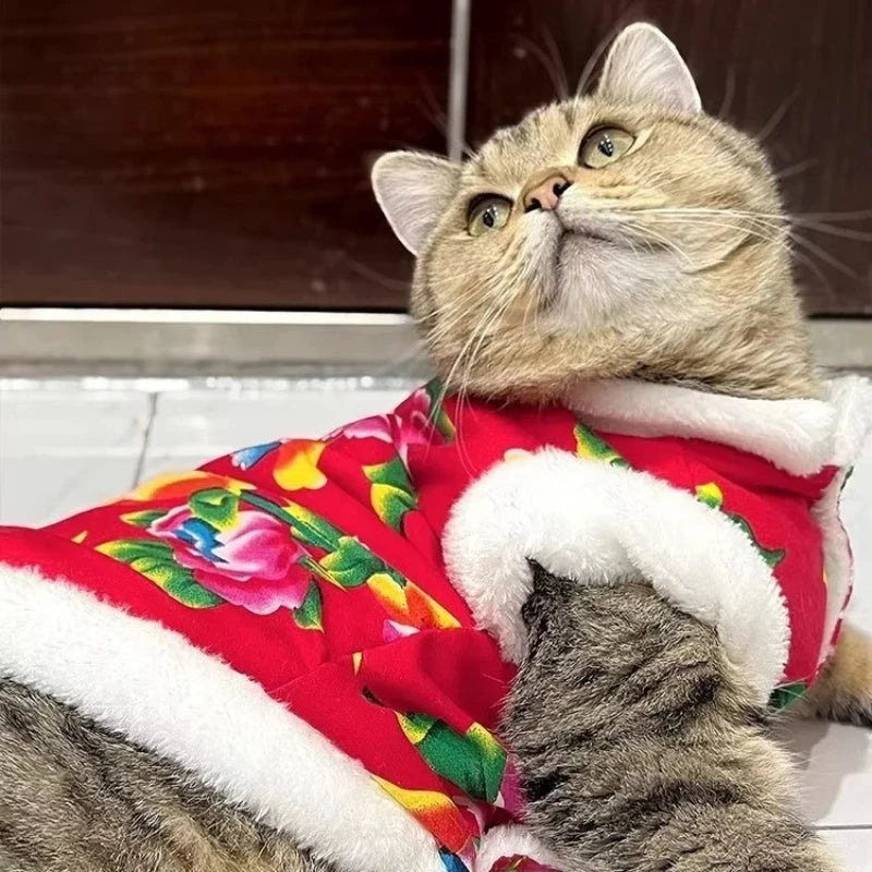 Katzenkleidung Fleece gefüttert warm dick Baumwolle gepolstert Mantel Herbst und Winter Stil Ragdoll Blau Katze Kätzchen Haustierkleidung