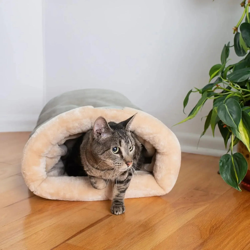 Katzen Bett Korb Zubehör Haus Katzenhäuser und Habitate Zubehör Alle Heimtierprodukte Hundematte Bedarfsartikel Betten Welpenartikel Güter