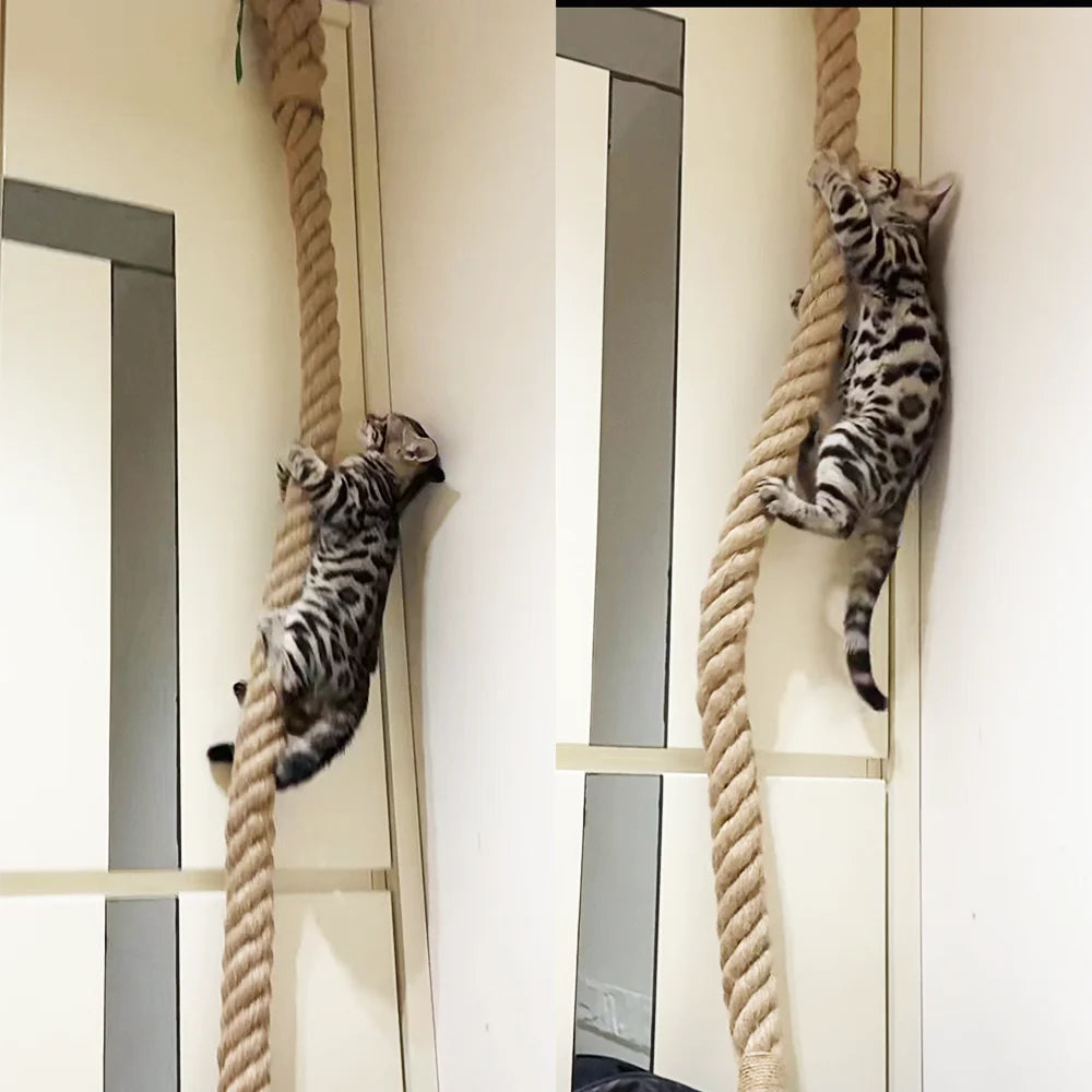 Cat Climbing Rope with Hook Ceiling Wall Mounted Kitten Scratching Post Climbing Rope Toy, Suitable for Indoor and Outdoor Cats