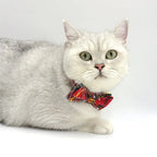 Hundehalsband Weihnachten Luxus 5-teiliges Geschenkset für Haustiere Personalisiertes Hundegeschirr Halsband Leine Kotbeutel Individuelle Mini-Größe Katzenhalsband