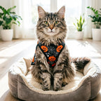 Pet Cat Clothes for Small Medium Cats Dogs Funny Party Dressed Up Cosplay Costumes Cute Kitten Clothing Maine Coon Ragdoll Cat