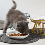 Schnurrhaarfreundlicher Katzennapf Breiter Katzen-Nassfutternapf Kippsicherer Keramikfutternapf mit Ständer für Kätzchen Welpen Futter Wasser Fütterung