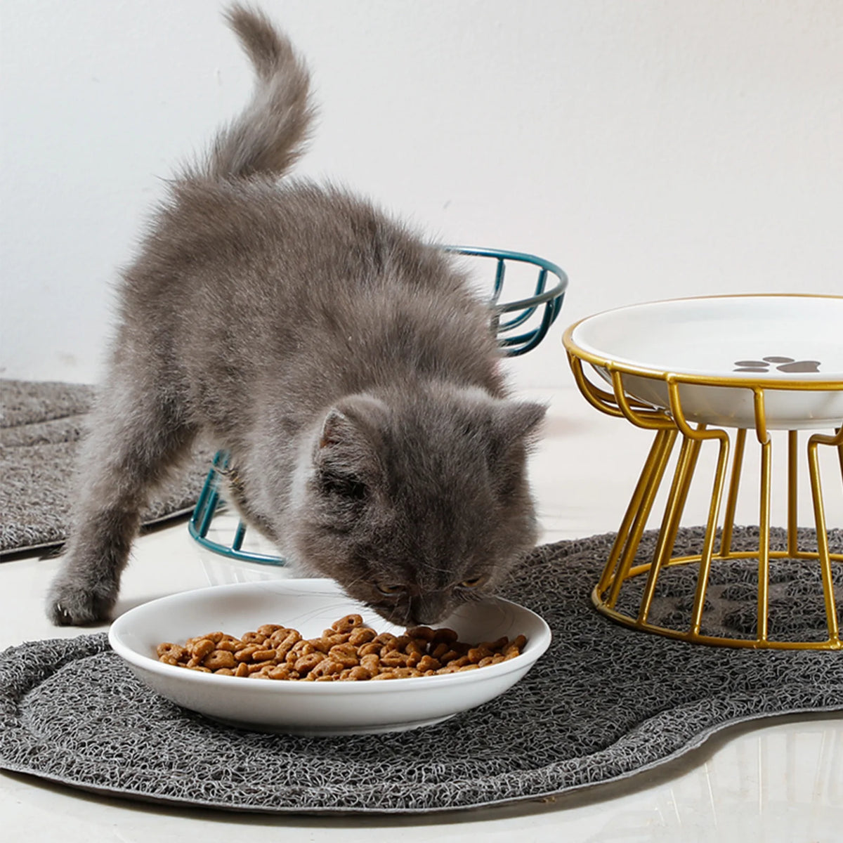 Whisker-Friendly Cat Bowl Wide Cat Wet Feeding Bowl Antitipping Ceramic Food Bowl with Stand for Kitten Puppy Food Water Feeding