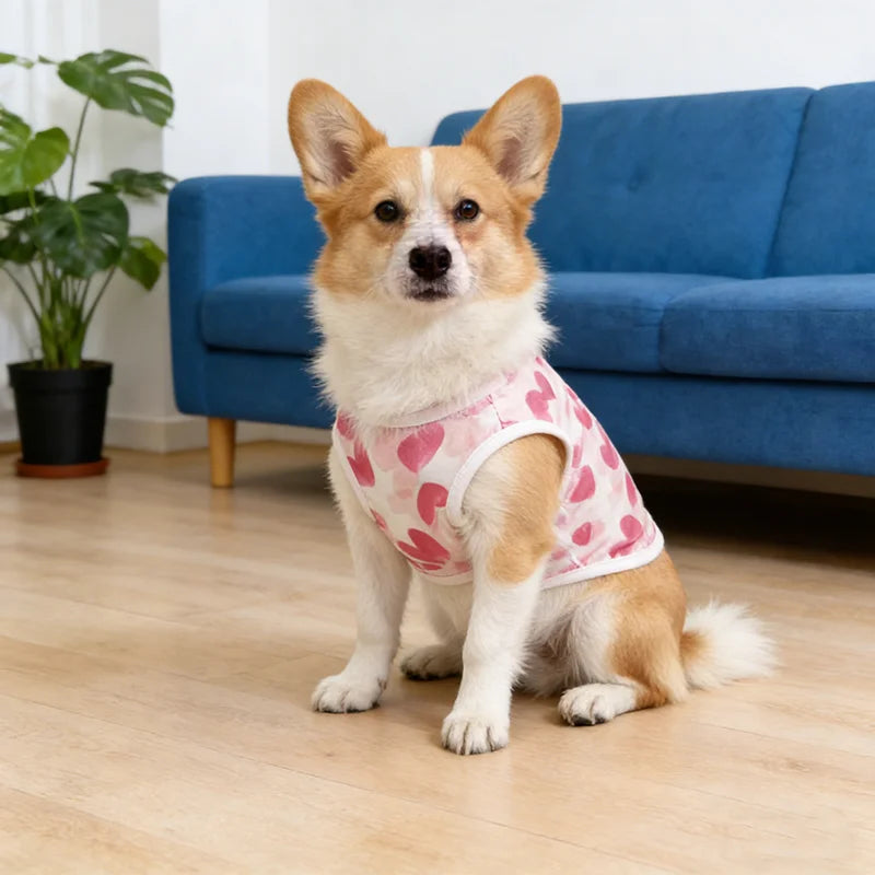 Hundekleidung Sommer Dünn Hundeweste T-Shirt Print Hund Niedliche Outfits Chihuahua Haustierkleidung Französische Bulldogge Mops Kostüme Welpenhemden