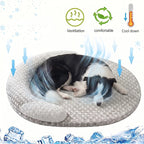 Kühlendes Hundebett Sommer Eisseide Katzenmatte Ovales Haustiernest Atmungsaktive Wärmeableitung Kühlmatte für kleine, mittlere, große Hunde und Katzen