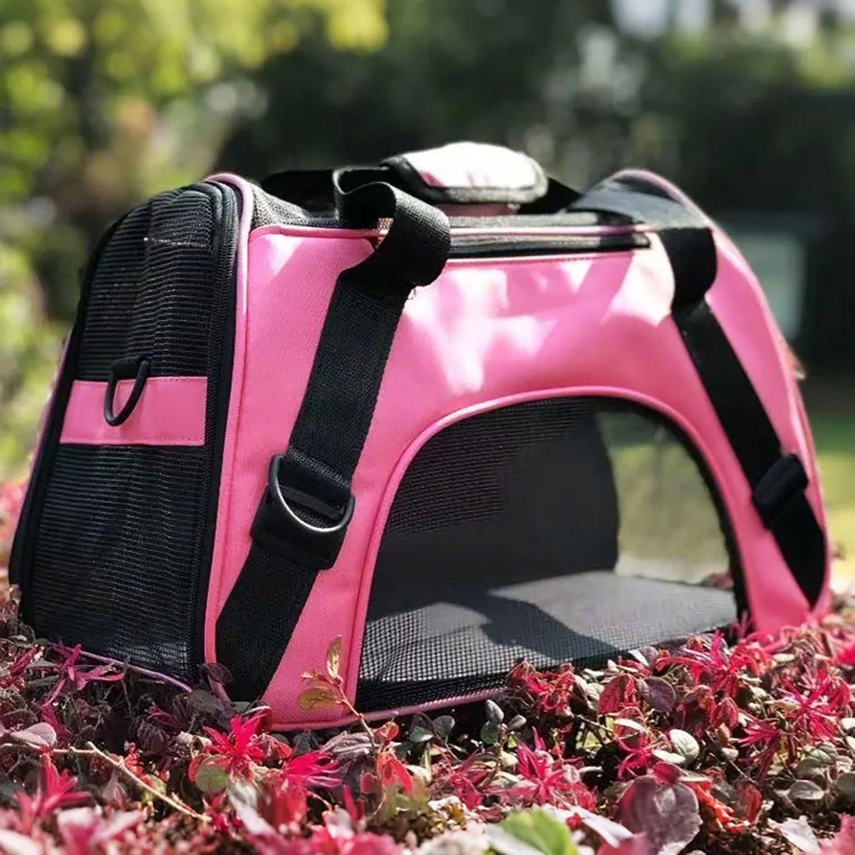 Cat bag pet bag dog bag portable carry on bag oversized breathable bag backpack outdoor cage travel box