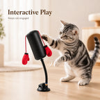 Katzenboxspielzeug - Multifunktionales Katzenstimulations-Boxspiel für Selbstunterhaltung und Entspannung - Interaktives Katzenspielzeug