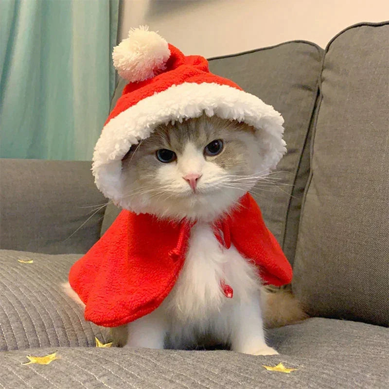 Pişik Kostyumu Santa Kosplay Məzəli Çevrilmiş Pişik/İt Ev Heyvanı Milad Yaxalıq Donu Qırmızı Şərf Plaj Aksesuarları Dekorasiyası