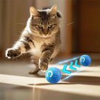 Intelligentes Hundespielzeug Ball Elektronisches interaktives Haustierspielzeug Beweglicher Ball USB Automatisch beweglich springend für Welpen Geburtstagsgeschenk Katzenprodukt