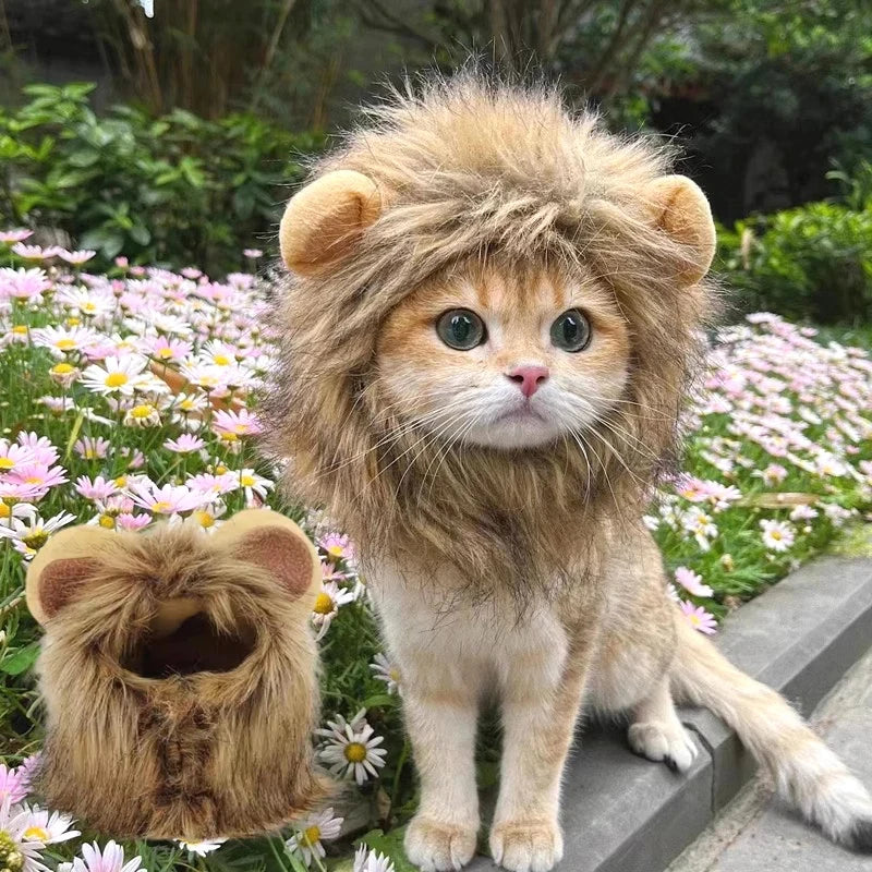 Cute Cat Hat Lion Headgear Elastic Autumn Winter Pet Hat Puppy Kittens Hat Party Photo Shoot Props Decoration Cat Accessories