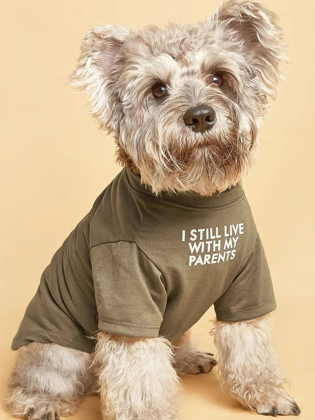 Cute Dog Clothes,Dog T Shirt for Medium Dogs, Small Dogs Girl Boy,Puppy.Breathable Soft Dog Costume Pet Dogs Cats,Pet Pullover