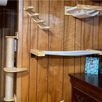 Wandmontiertes Katzenklettergerüst 50cm Katzenkletterleiter Hängematte Aktivität Sisal Katzenkratzbaum Katzenpedal Indoor Katzenhaus