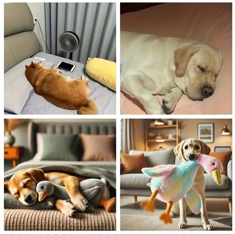 50cm Soft Colorful Duck Plush Toy for Cats Dogs Relax Pet Companion Anxiety-Relieving Dog Buddy Energy Release Gift for Pets