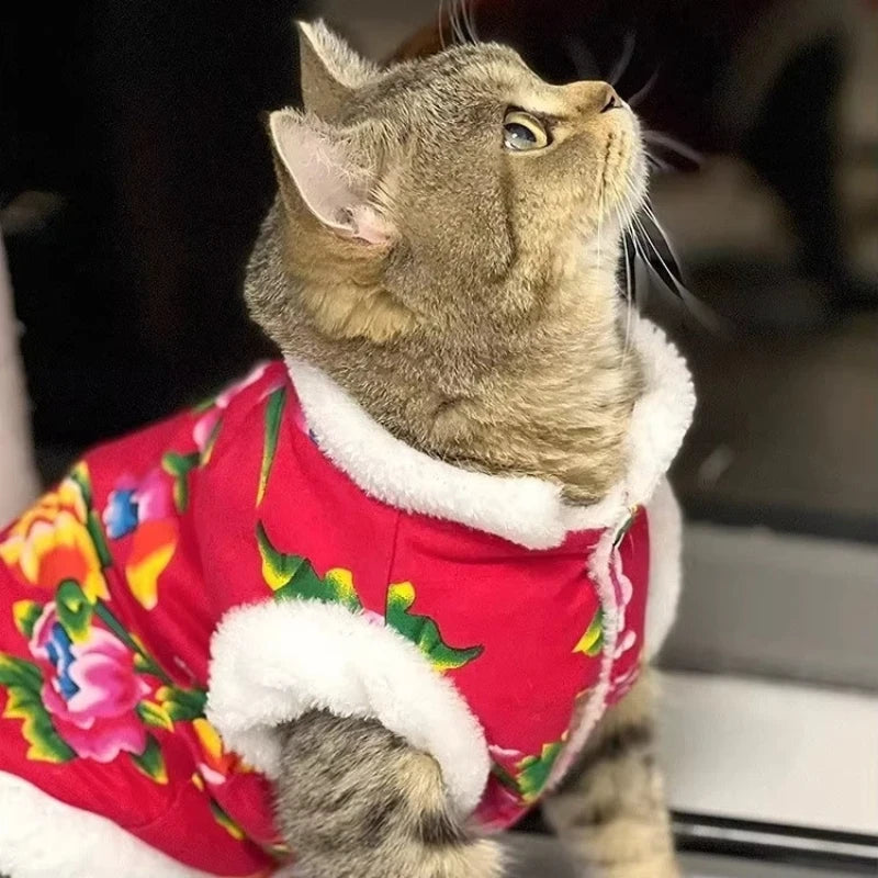 Cat Clothes Fleece Lined Warm Thick Cotton Padded Coat Autumn And Winter Style Ragdoll Blue Cat Kitten Pet Clothing