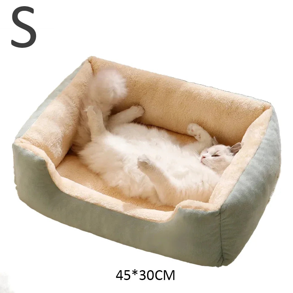 Cats Bed Dog Mat Beds Goods Pet Puppy Accessories All Products Kitten Cushions Things Accessory Houses Habitats House Supplies