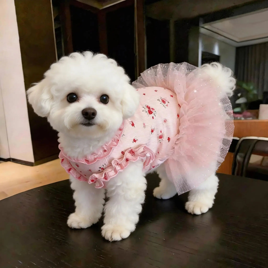 Neue Haustierkleidung Dünner Hund Sommer Katze Hundekleidung Rock Spitze Blumenstücke Atmungsaktive Hautfreundliche Hund Teddy Bart Corgi