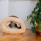 Katzen Bett Korb Zubehör Haus Katzenhäuser und Habitate Zubehör Alle Heimtierprodukte Hundematte Bedarfsartikel Betten Welpenartikel Güter