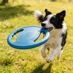 Hunde EVA Flugscheibe Zahn Kaubare Spielzeug Trainierbar Unzerstörbar Haustierbedarf Spielzeuge Groß Sicher Klein Hund Gelenk Robust Spielzeug Widerstandsfähig