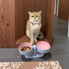 Double Color Pet Cat Feeder High-legged Dual Bowl 360 Rotatable Detachable Suction Cup Feeding Bowl for Cats