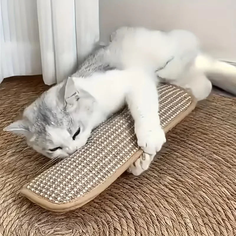 at Toy Game Pillow and Cat Scratching Pad for Solo Play and Intimate Interaction to Keep Your Feline Friend Happy and Soothing
