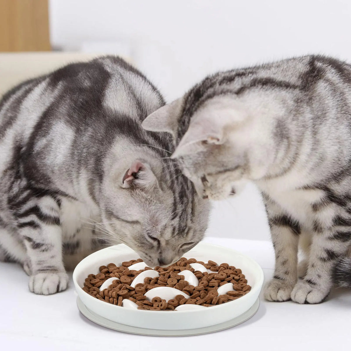Cat Bowl Slow Feeder Non Slip Mat Raised Edge Pets Eating Anti Vomiting Ceramic Bowl Reusable Healthy Anti-choking