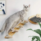 Wandmontiertes Katzenklettergerüst 50cm Katzenkletterleiter Hängematte Aktivität Sisal Katzenkratzbaum Katzenpedal Indoor Katzenhaus