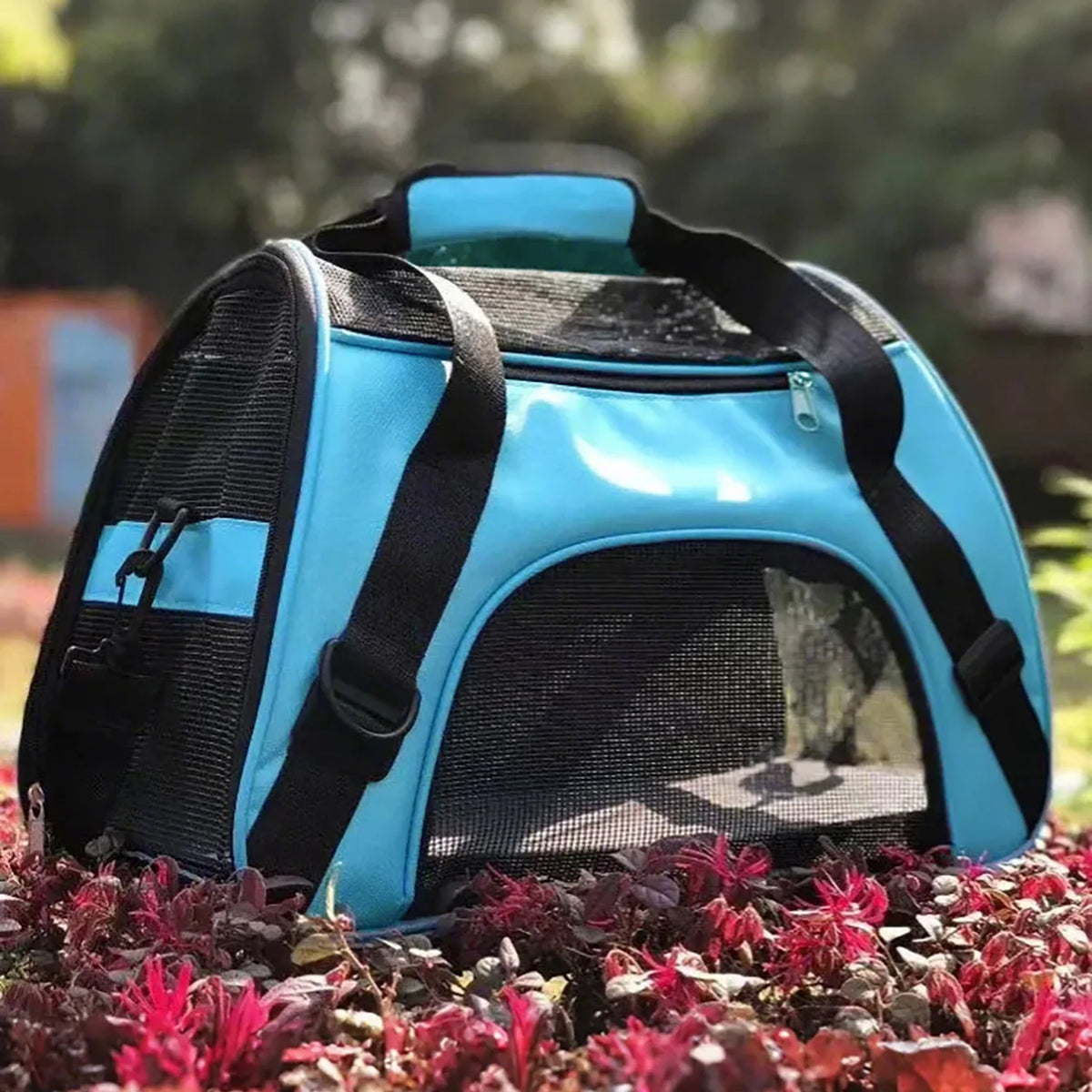 Cat bag pet bag dog bag portable carry on bag oversized breathable bag backpack outdoor cage travel box