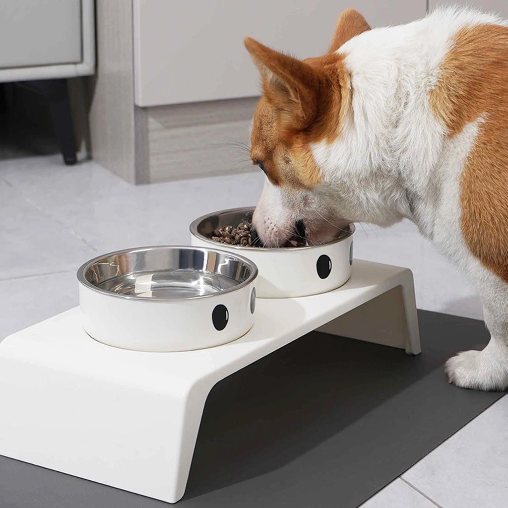 Erhöhte Hundenäpfe Futterstation mit Doppelten Edelstahl-Futter- und Wassernäpfen für Kleine Mittlere Große Hunde Katzen