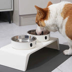 Erhöhte Hundenäpfe Futterstation mit Doppelten Edelstahl-Futter- und Wassernäpfen für Kleine Mittlere Große Hunde Katzen