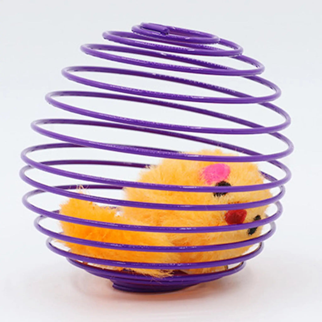 Cat Spiral Toy Interactive Fun Colorful Stretchable Spring Indoor Cat Toys for Home Outdoor Play Training Exercise Mental