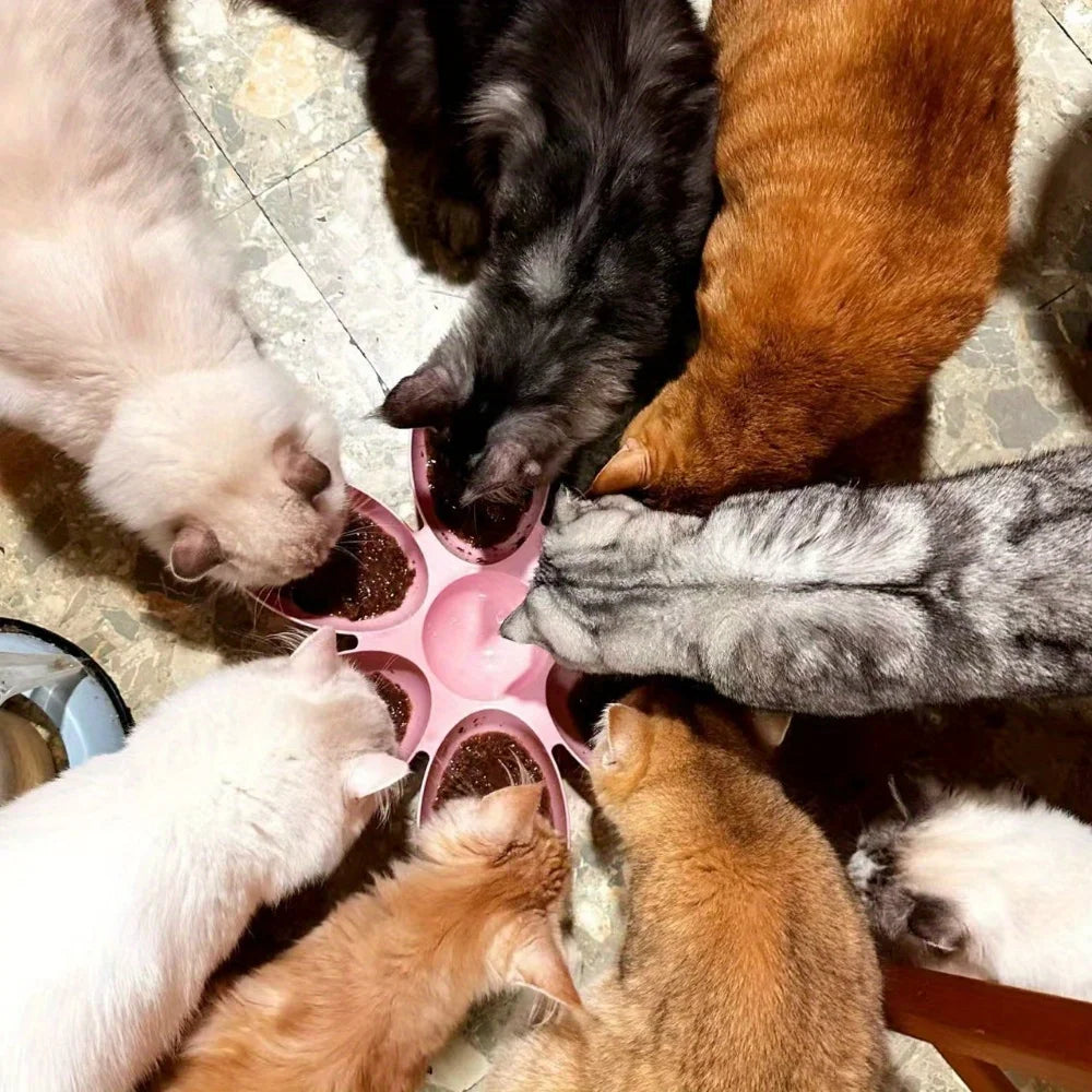 Multi-grid Petal Cat Bowl - Shared feeding for kittens, kittens and puppies, up to six cats can eat at the same time