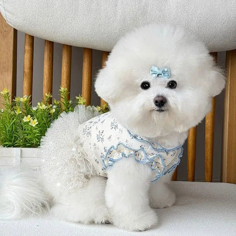 Neue Haustierkleidung Dünner Hund Sommer Katze Hundekleidung Rock Spitze Blumenstücke Atmungsaktive Hautfreundliche Hund Teddy Bart Corgi
