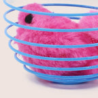 Cat Spiral Toy Interactive Fun Colorful Stretchable Spring Indoor Cat Toys for Home Outdoor Play Training Exercise Mental