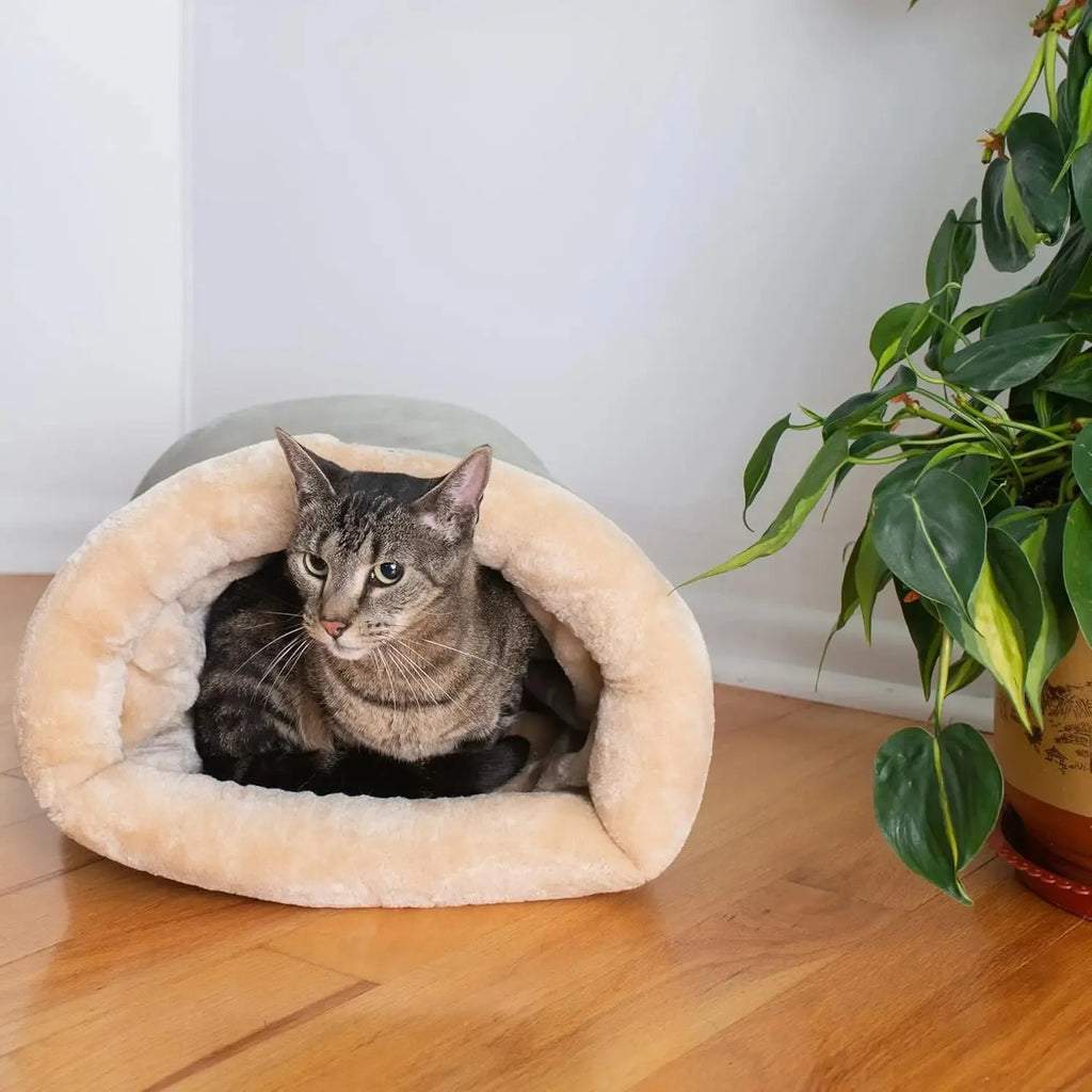 Katzen Bett Korb Zubehör Haus Katzenhäuser und Habitate Zubehör Alle Heimtierprodukte Hundematte Bedarfsartikel Betten Welpenartikel Güter