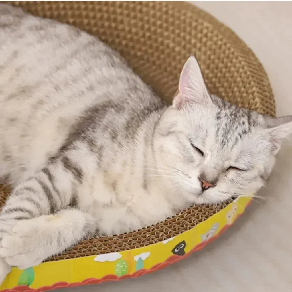Katzenkratzbrett Möbel schützen Krallenspielzeug Oval Wellpappe Verschleißfestes Katzenbett Katzenzubehör