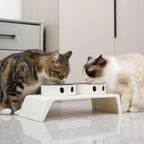 Erhöhte Hundenäpfe Futterstation mit Doppelten Edelstahl-Futter- und Wassernäpfen für Kleine Mittlere Große Hunde Katzen