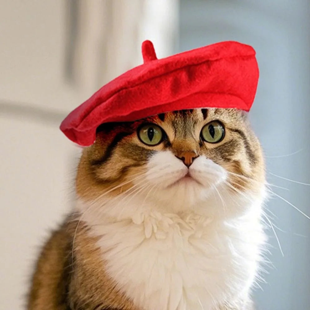 Pet Accessories Cute Cat Beret Hat Fashionable Breathable Cat Sunscreen Hat Red Black Comfortable Pet Headwear Outdoor Indoor