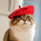 Pet Accessories Cute Cat Beret Hat Fashionable Breathable Cat Sunscreen Hat Red Black Comfortable Pet Headwear Outdoor Indoor