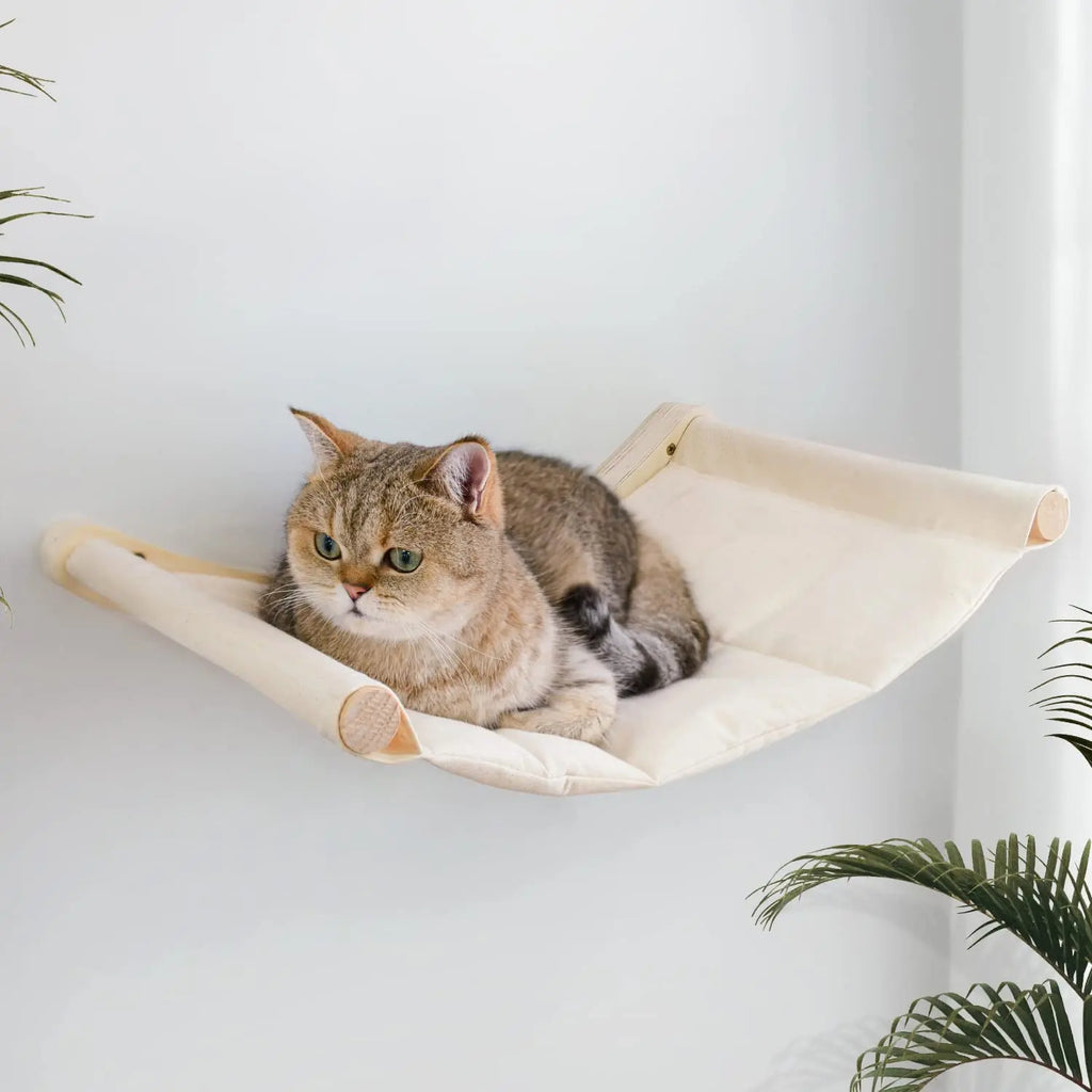 Katzen-Hängemattenbett zur Wandmontage, kletternd, für Katzen, Kätzchen, Bett, Möbel, stabiles Regal, Sitzstangen, Katzenhaus zum Schlafen, Spielen, Zubehör