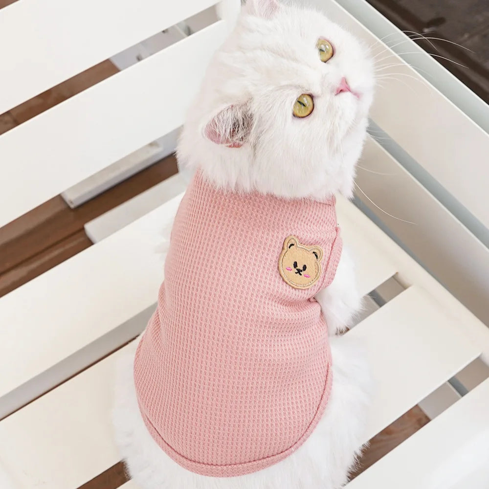 Katzenkleidung Waffelbär Haustierweste Sommer Teddy Chihuahua Kleiner Hund Zweibeinige Kleidung Katze Welpenkleidung Haustierkostüm