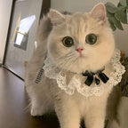 Cat Dog Collar Silk Wedding Cat Puppy Ribbon Scarf Princess Style Lace Collar Bell Necklace Bib New Kitten Accessories Bowtie