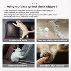 Kratzbrett für Katzen, Wellpappe, Schleifkralle, Platte + Katzenminze, Papierunterlage, Klettergerüst, Kratzmatte, Katzenkarton, Katzenspielzeug