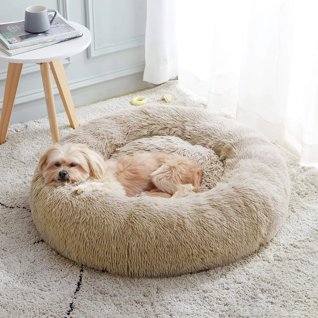Super Katzenbett Warmer Schlaf Katzenkorb Weicher Langer Plüsch Bestes Haustier Hundebett für Hunde Korb Kissen Katzenbett Katzenmatte Tiere Schlafend