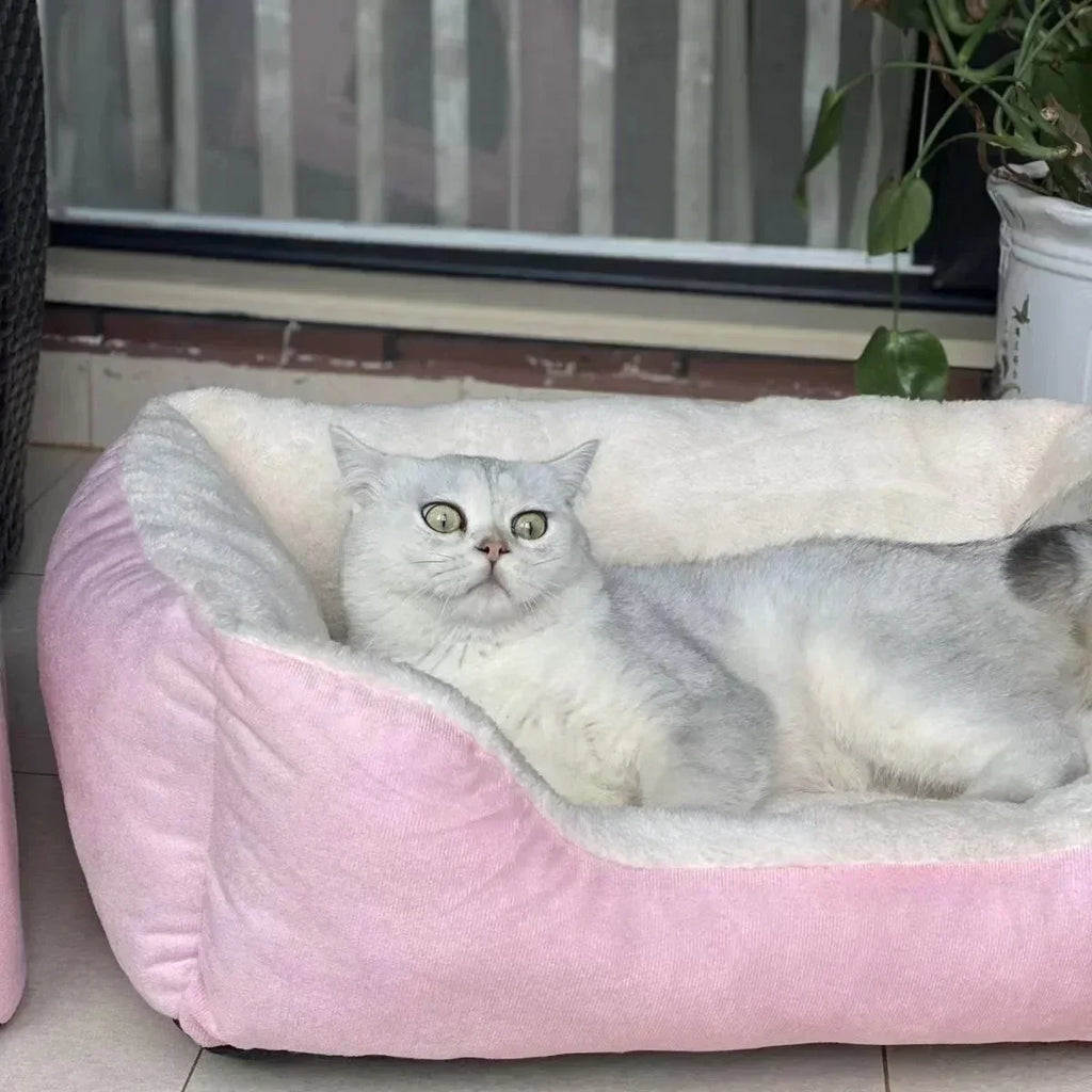 Katzenbett Hundematte Betten Waren Haustier Welpenzubehör Alle Produkte Kissen Dinge Zubehör Häuser Lebensräume Hausbedarf
