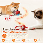 Neues interaktives Hundeball-Spielzeug, Automatisch rollender Hundeball wiederaufladbar, Intelligentes interaktives Welpenspielzeug, Intelligentes Ballspielzeug für Hunde