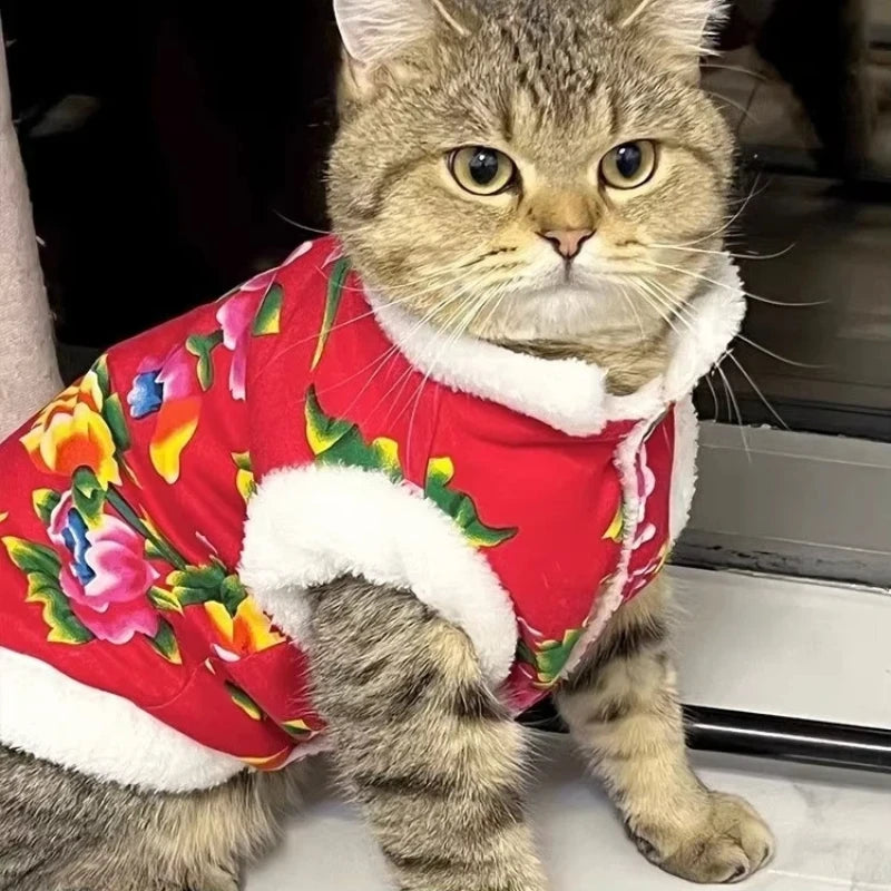 Katzenkleidung Fleece gefüttert warm dick Baumwolle gepolstert Mantel Herbst und Winter Stil Ragdoll Blau Katze Kätzchen Haustierkleidung