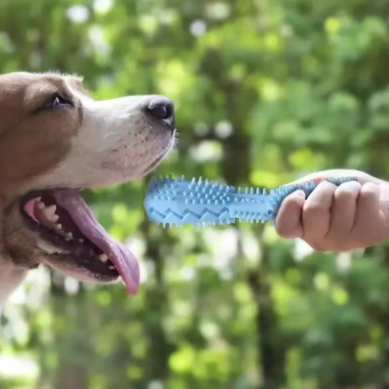 Hund Beißspielzeug Kauspielzeug Bissfest Spaß Auslaufsicheres Futterspielzeug Haustier Beißring Reinigungsstick