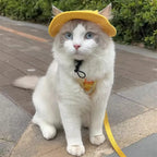 Cute Cat Dog Pets Hat with Ear Hole Dog Beach Visor Hat Sunhat for Cat Accessories Sun Cap Pet Outdoor Hat Supply for Dog Costum